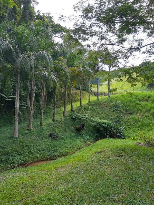 SITIO COM 4 ALQUEIRES EM PARAIBUNA SP - Paraibuna - 