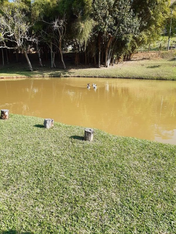 SITIO COM 4 ALQUEIRES EM PARAIBUNA SP - Paraibuna - 