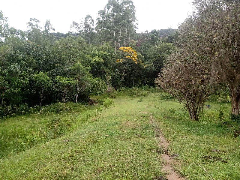 SITIO COM 7 ALQUEIRES EM PARAIBUNA SP - Paraibuna - 