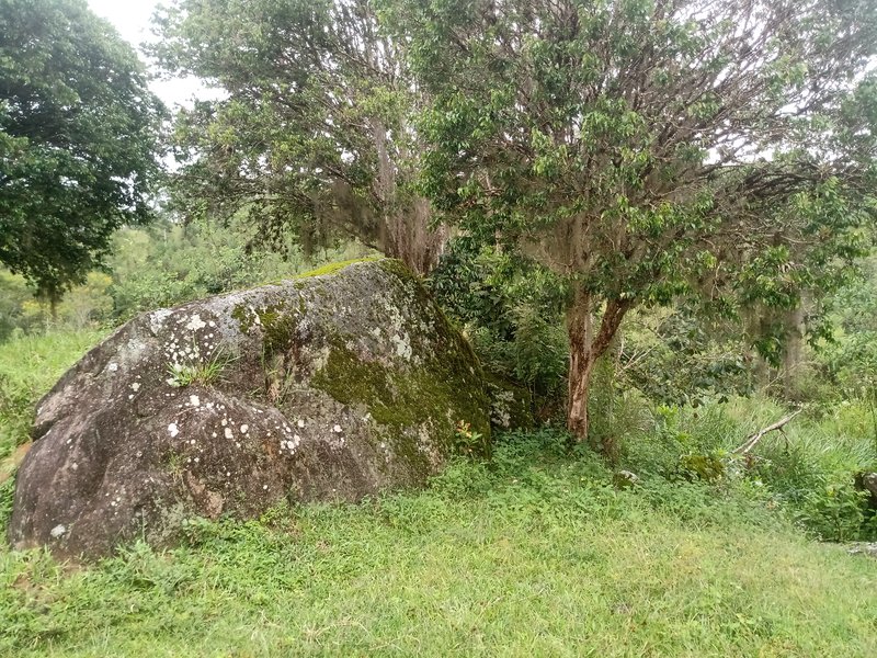 SITIO COM 7 ALQUEIRES EM PARAIBUNA SP - Paraibuna - 