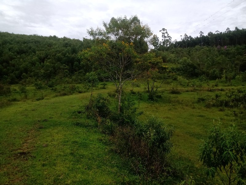 SITIO COM 7 ALQUEIRES EM PARAIBUNA SP - Paraibuna - 