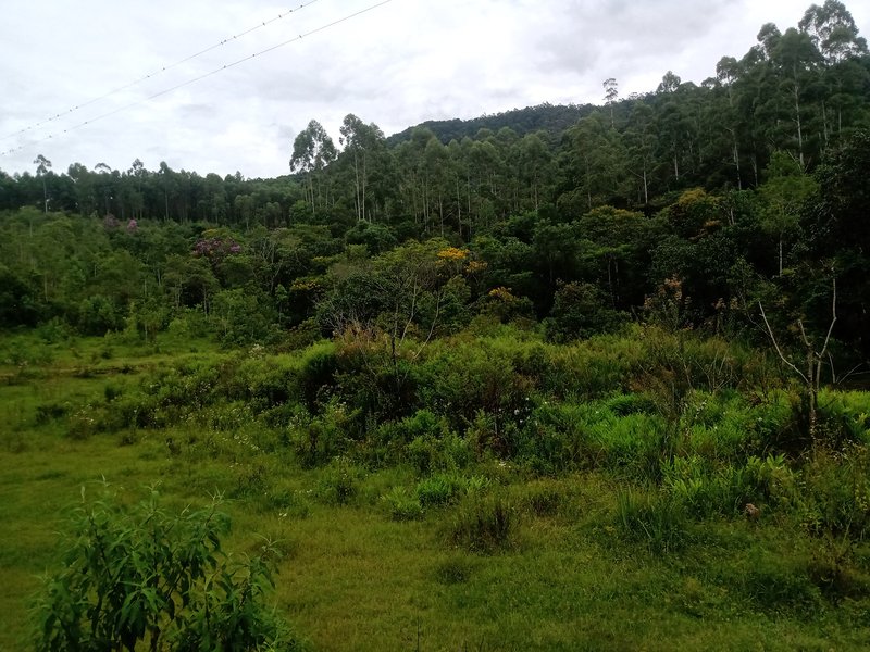 SITIO COM 7 ALQUEIRES EM PARAIBUNA SP - Paraibuna - 
