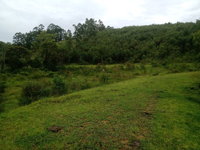 SITIO COM 7 ALQUEIRES EM PARAIBUNA SP - Paraibuna - 