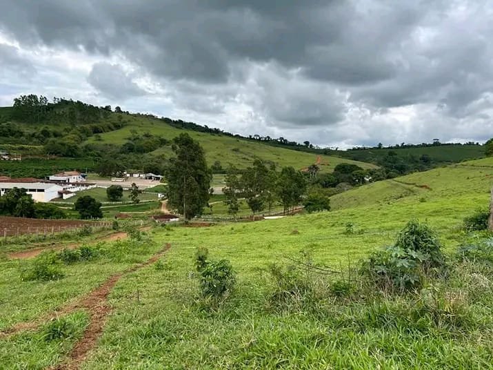 FAZENDA COM 101 HECTARES EM CAMBUQUIRA MG - CAMBUQUIRA - 