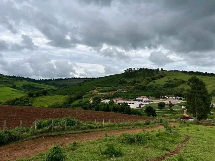 FAZENDA COM 101 HECTARES EM CAMBUQUIRA MG - CAMBUQUIRA - 