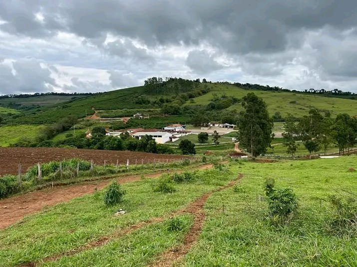 FAZENDA COM 101 HECTARES EM CAMBUQUIRA MG - CAMBUQUIRA - 
