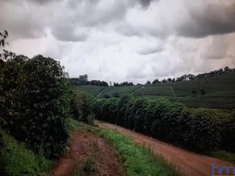 FAZENDA COM 101 HECTARES EM CAMBUQUIRA MG - CAMBUQUIRA - 