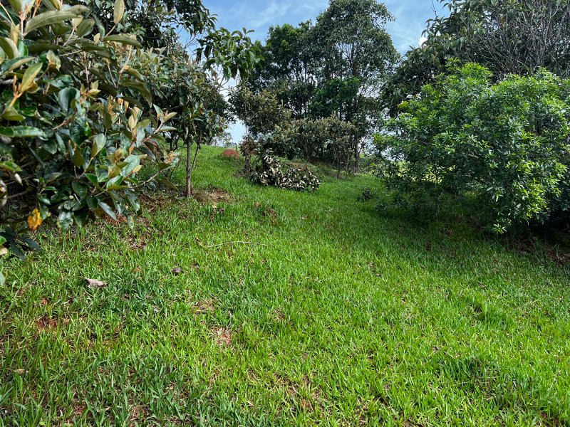 AREA COM 22.560 METROS EM JAMBEIRO SP - JAMBEIRO - 