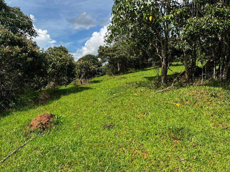 AREA COM 22.560 METROS EM JAMBEIRO SP - JAMBEIRO - 