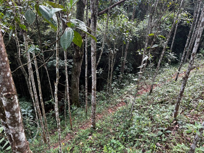 AREA COM 22.560 METROS EM JAMBEIRO SP - JAMBEIRO - 