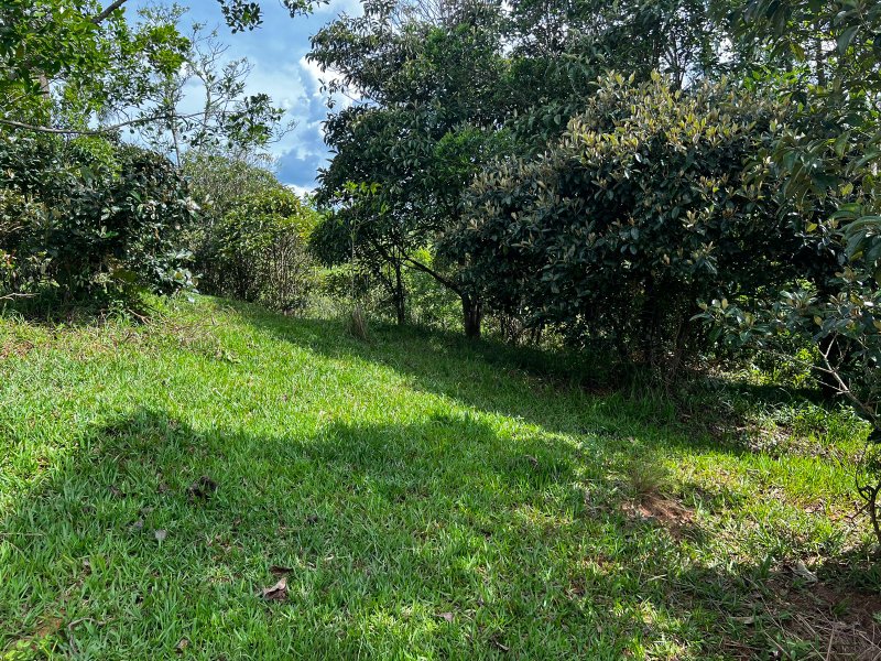 AREA COM 22.560 METROS EM JAMBEIRO SP - JAMBEIRO - 