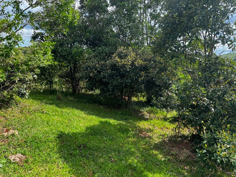AREA COM 22.560 METROS EM JAMBEIRO SP - JAMBEIRO - 