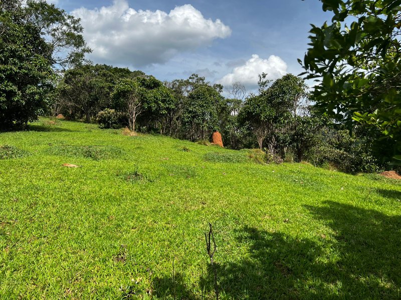 AREA COM 22.560 METROS EM JAMBEIRO SP - JAMBEIRO - 