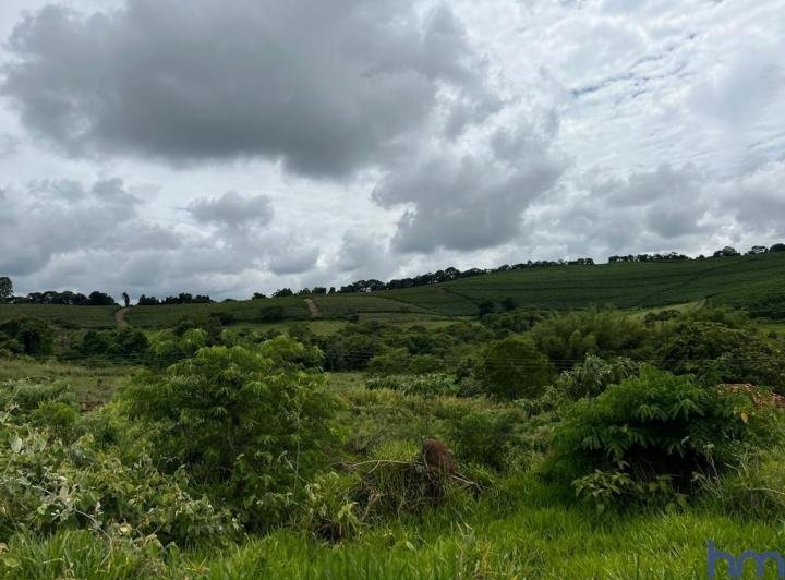 FAZENDA COM 216 HECTARES EM CONCEIÇÃO DO RIO VERDE MG - CONCEICAO DO RIO VERDE - 