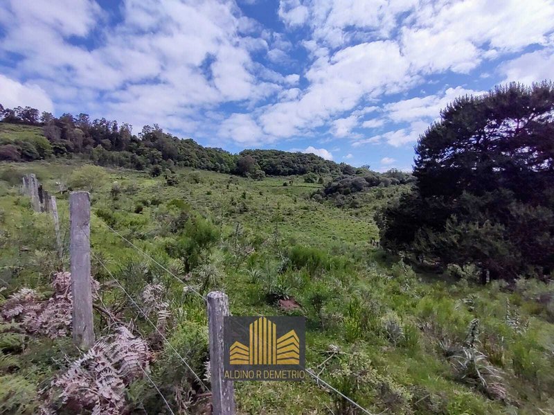 Excelente oportunidade de negócio, uma chácara medindo 42,96 hectares de terra nativa! Estrada Municipal Vicente Menezes Caxias do Sul - 