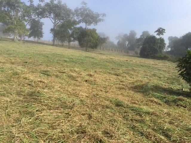 SITIO EM CONDOMINIO COM 3 ALQUEIRES EM REDENÇÃO DA SERRA SP - REDENCAO DA SERRA - 