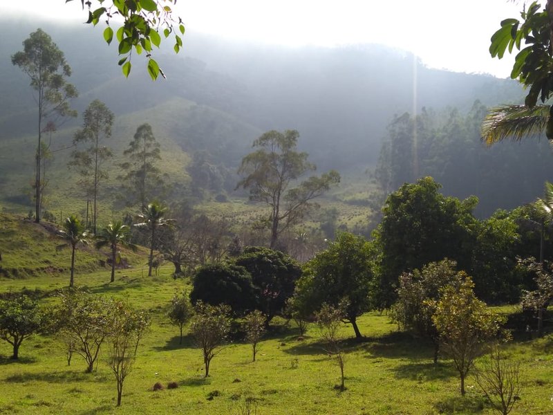 FAZENDA COM 125 ALQUEIRES EM PARAIBUNA SP - Paraibuna - 