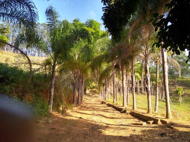 FAZENDA COM 125 ALQUEIRES EM PARAIBUNA SP - Paraibuna - 