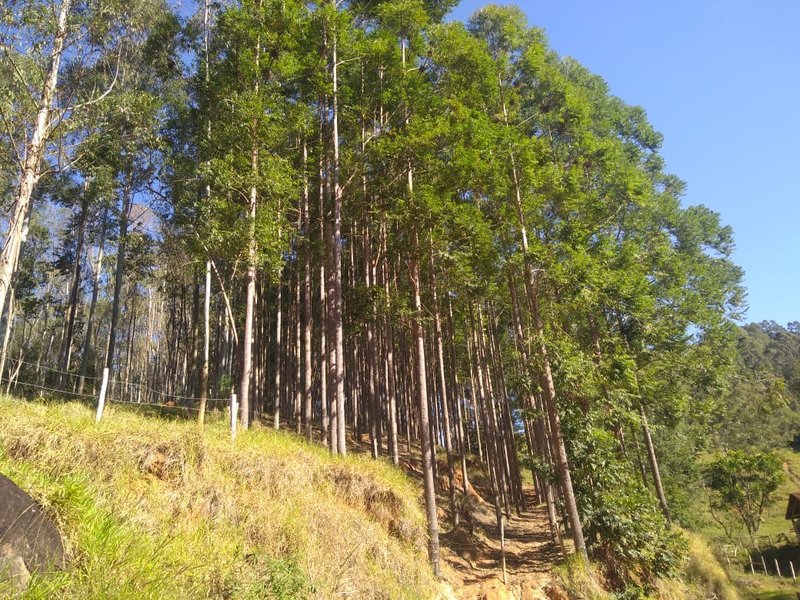 FAZENDA COM 125 ALQUEIRES EM PARAIBUNA SP - Paraibuna - 
