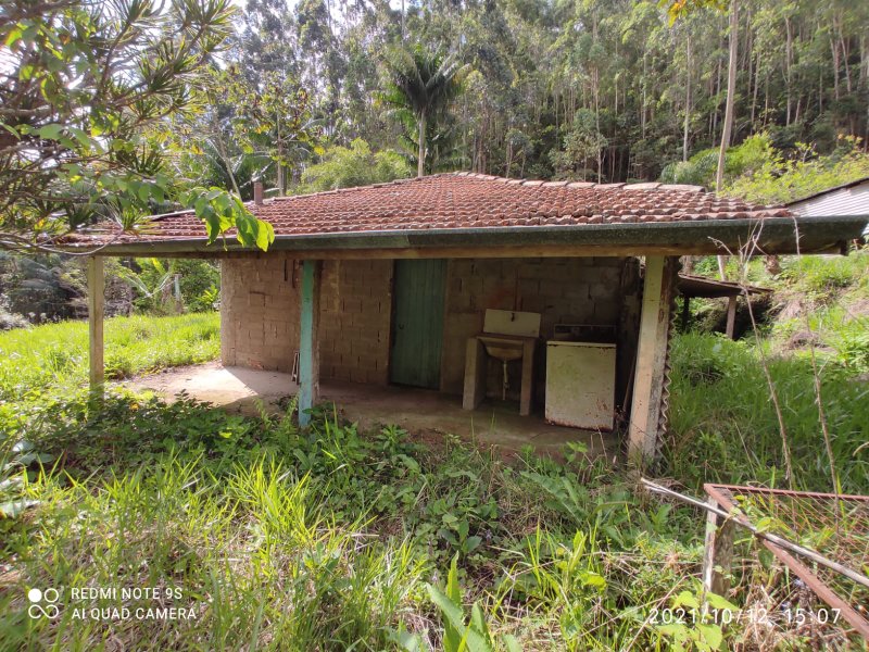 SITIO COM 13 ALQUEIRES EM NATIVIDADE DA SERRA SP - NATIVIDADE DA SERRA - 