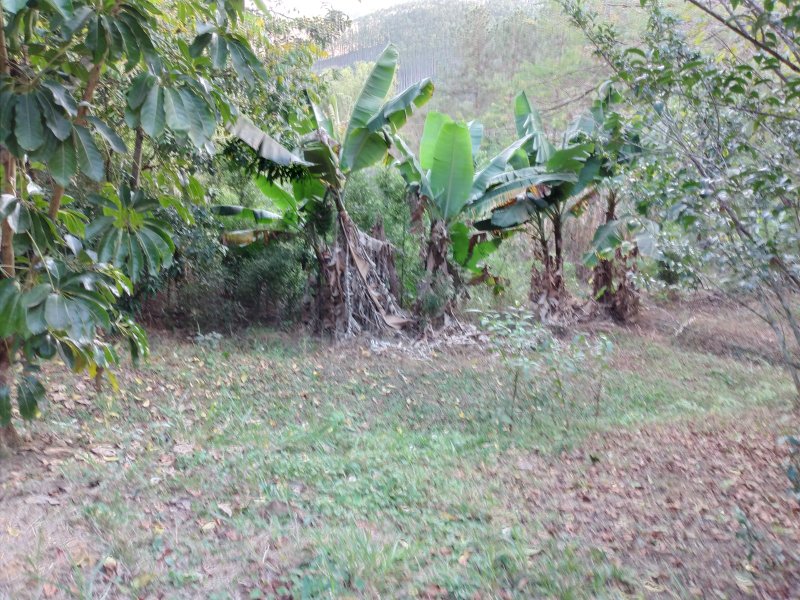 CHACARA EM CONDOMINIO COM 11.000 METROS EM SÃO JOSE DOS CAMPOS SP - São José dos Campos - 