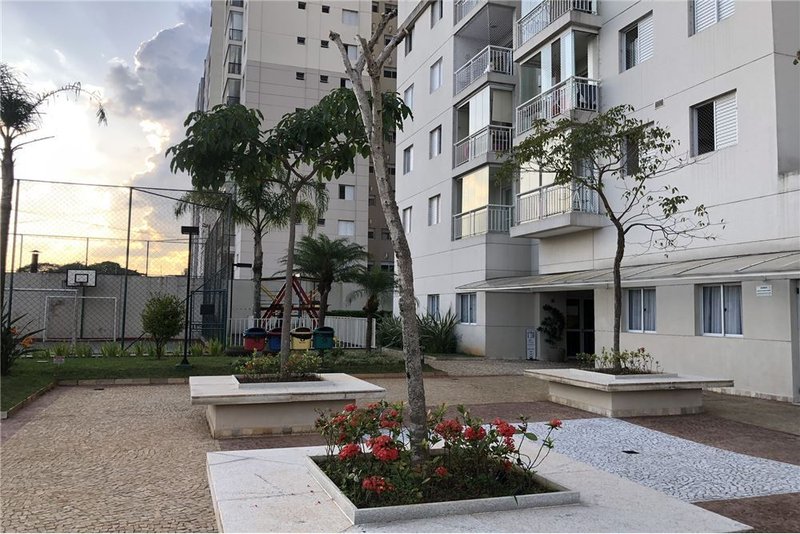 Apartamento com 3 dormitórios 63m² Domingos Afonso São Paulo - 