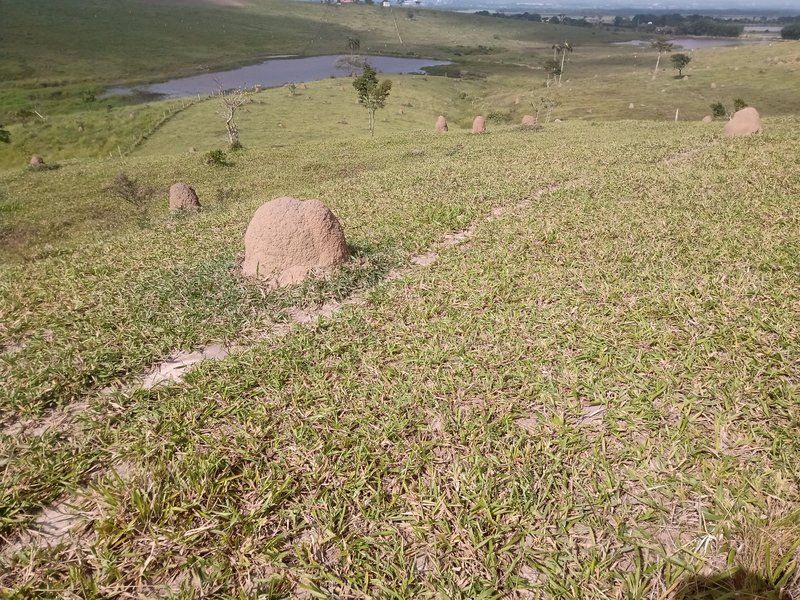 AREA COM 48.000 METROS EM CAÇAPAVA SP - Caçapava - 
