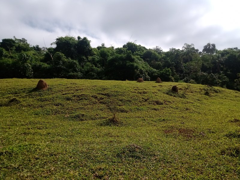 AREA COM 48.000 METROS EM CAÇAPAVA SP - Caçapava - 