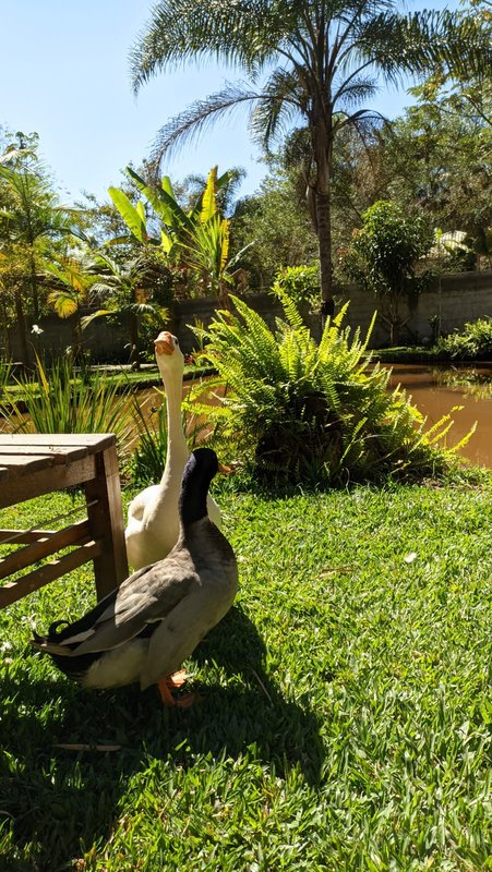 CHACARA COM 3.080 METROS EM SÃO JOSE DOS CAMPOS SP - São José dos Campos - 
