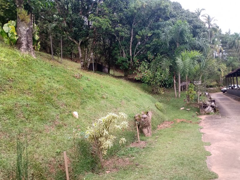 SÍTIO COM 33.000 METROS EM MONTEIRO LOBATO/SÃO PAULO - MONTEIRO LOBATO - 