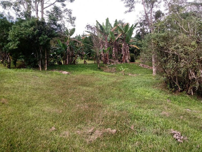 SÍTIO COM 33.000 METROS EM MONTEIRO LOBATO/SÃO PAULO - MONTEIRO LOBATO - 