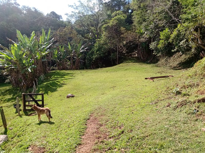 SÍTIO COM 33.000 METROS EM MONTEIRO LOBATO/SÃO PAULO - MONTEIRO LOBATO - 