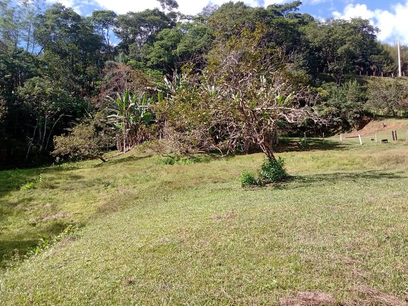 SÍTIO COM 33.000 METROS EM MONTEIRO LOBATO/SÃO PAULO - MONTEIRO LOBATO - 