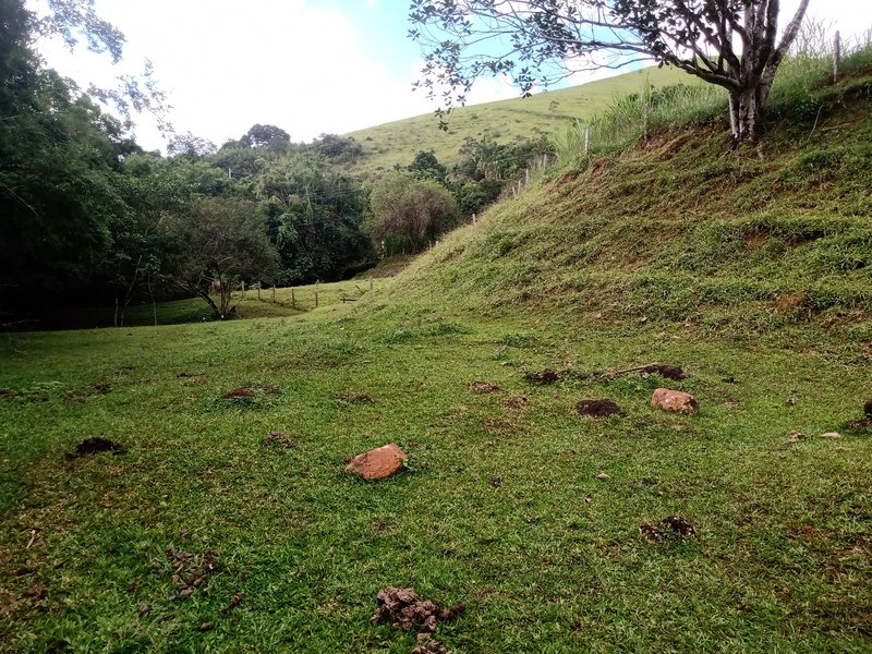 SÍTIO COM 33.000 METROS EM MONTEIRO LOBATO/SÃO PAULO - MONTEIRO LOBATO - 