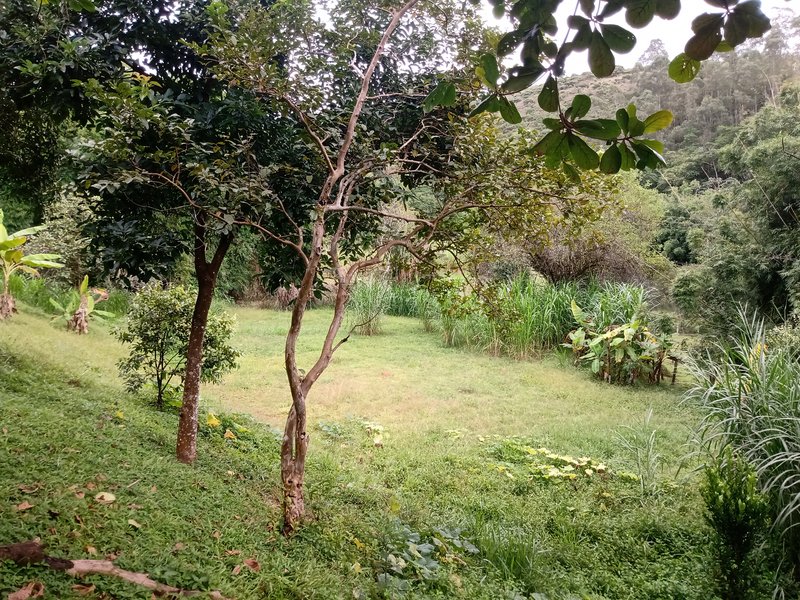 SÍTIO COM 33.000 METROS EM MONTEIRO LOBATO/SÃO PAULO - MONTEIRO LOBATO - 