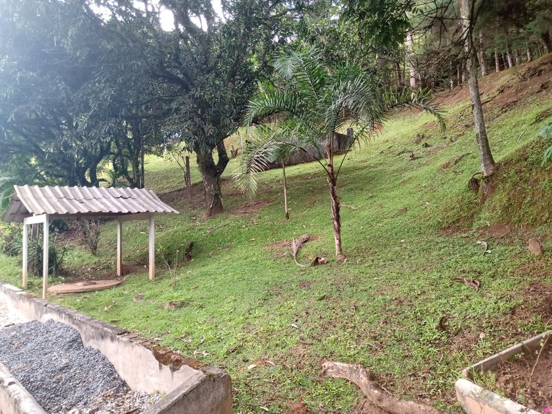 SÍTIO COM 33.000 METROS EM MONTEIRO LOBATO/SÃO PAULO - MONTEIRO LOBATO - 