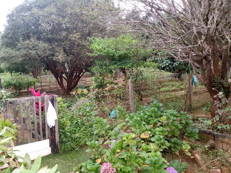 SÍTIO COM 33.000 METROS EM MONTEIRO LOBATO/SÃO PAULO - MONTEIRO LOBATO - 