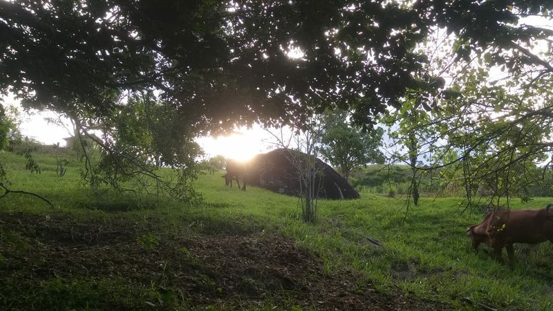 AREA RURAL COM 20.000 EM CAÇAPAVA SP - Caçapava - 
