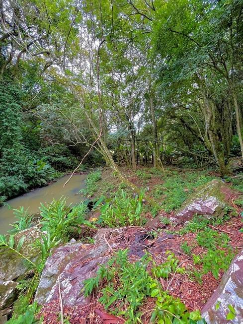R$ 945.000 - PORTEIRA FECHADA - ESPETACULAR SÍTIO - 5.000M2 - LAZER E NATUREZA - MAQUINE - 