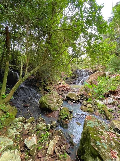 R$ 945.000 - PORTEIRA FECHADA - ESPETACULAR SÍTIO - 5.000M2 - LAZER E NATUREZA - MAQUINE - 