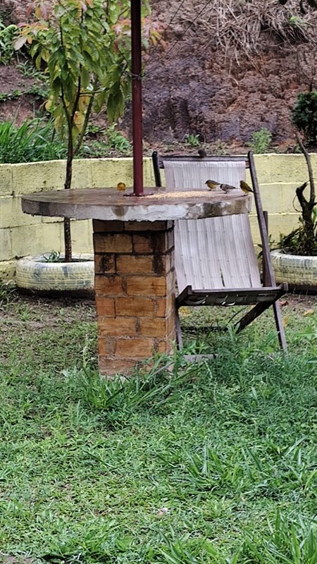 CHACARA COM 1.600 METROS EM NATIVIDADE DA SERRA SP - NATIVIDADE DA SERRA - 