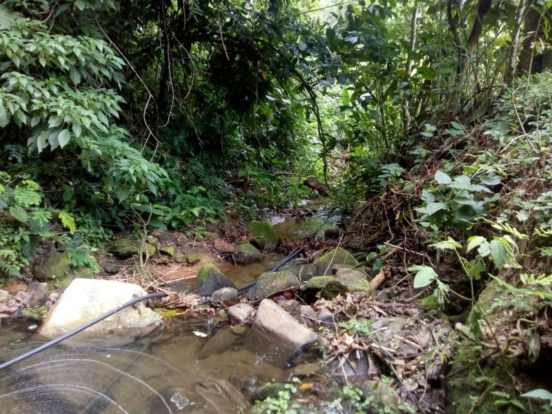 CHACARA COM 20.000 METROS EM CARAGUATATUBA SP - Caraguatatuba - 