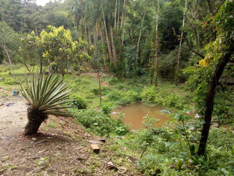 CHACARA COM 20.000 METROS EM CARAGUATATUBA SP - Caraguatatuba - 