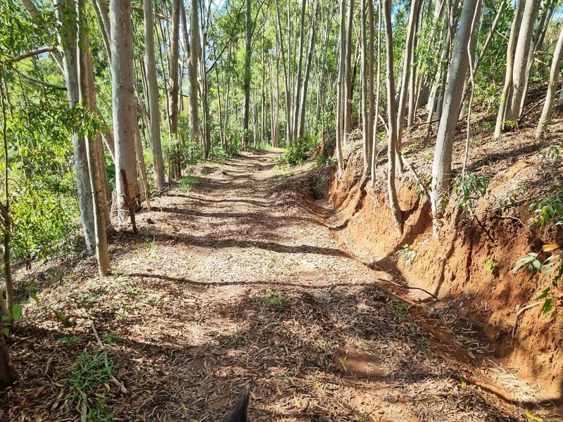 SITIO COM 16 HECTARES EM LAGOINHA SP - LAGOINHA - 