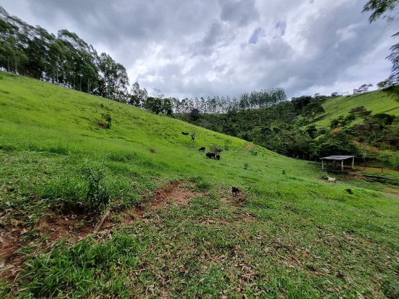 SITIO COM 16 HECTARES EM LAGOINHA SP - LAGOINHA - 