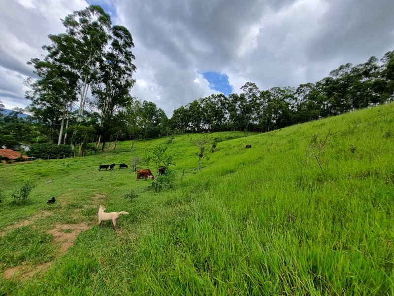 SITIO COM 16 HECTARES EM LAGOINHA SP - LAGOINHA - 