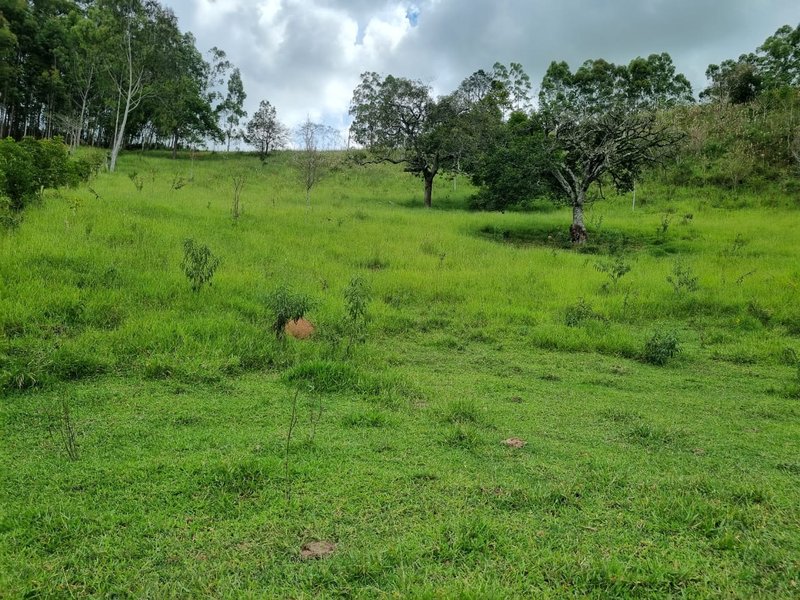 SITIO COM 16 HECTARES EM LAGOINHA SP - LAGOINHA - 