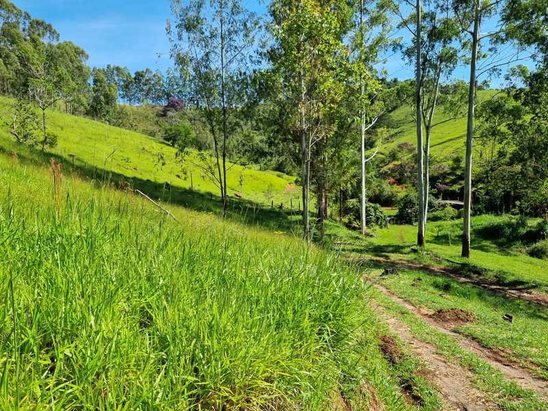 SITIO COM 16 HECTARES EM LAGOINHA SP - LAGOINHA - 