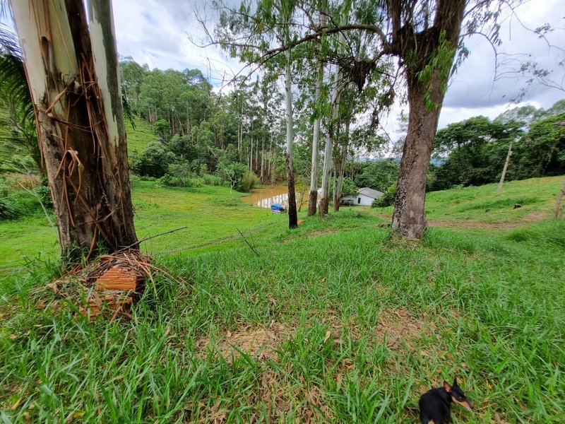 SITIO COM 16 HECTARES EM LAGOINHA SP - LAGOINHA - 