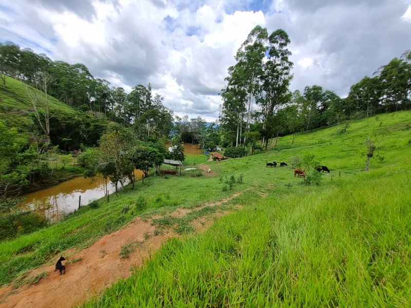 SITIO COM 16 HECTARES EM LAGOINHA SP - LAGOINHA - 